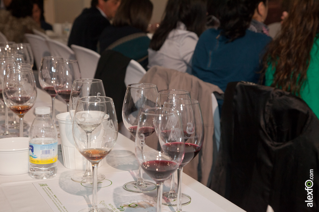 Cata de ibérica de vinos de Extremadura y Portugal - Iberovinac 2014 2014-11-04 Cata de Vino0006
