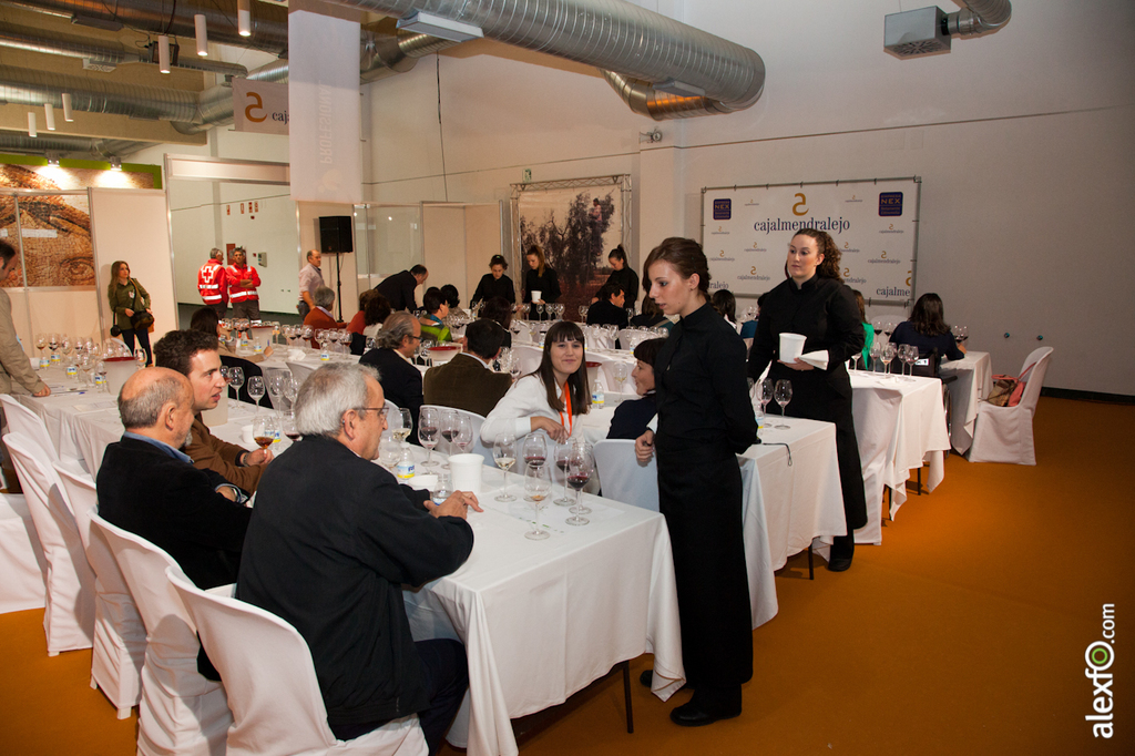 Cata de ibérica de vinos de Extremadura y Portugal - Iberovinac 2014 2014-11-04 Cata de Vino0007