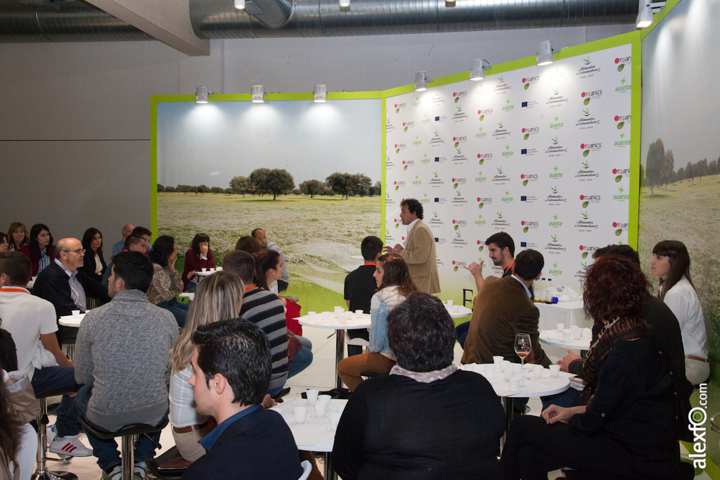 Cata de Aceite - Iberovinac 2014 - Salón del vino y la aceituna 2014-11-04 Cata de aceite-7