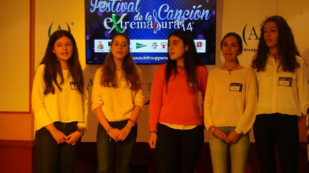 Festival de la Canción de Extremadura. Primer casting 2014 DSC00396
