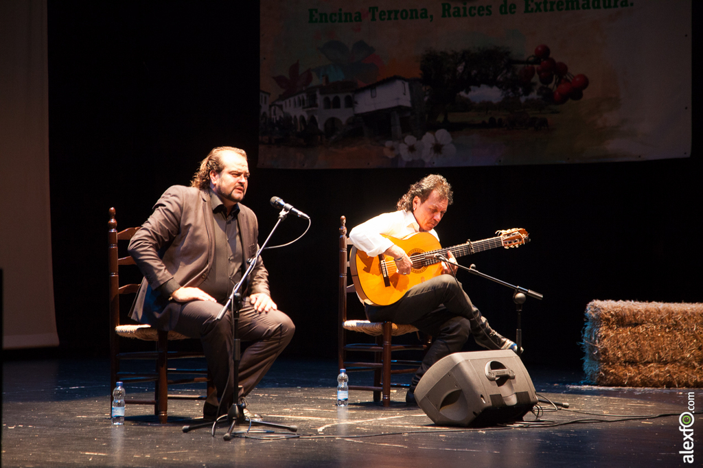 Actuación de Miguel de Tena en Móstoles 06092014-IMG_2363