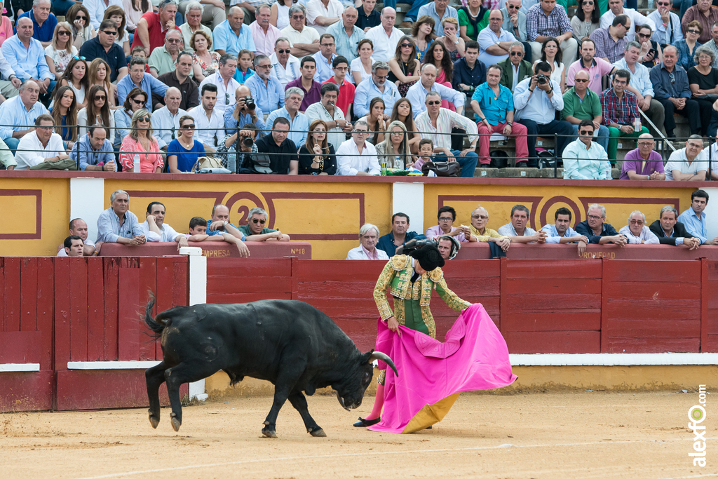 José Garrido - Toros Badajoz 2014 José Garrido - Toros Badajoz 2014 - jose garrido toros badajoz-6