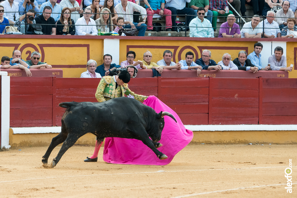 José Garrido - Toros Badajoz 2014 José Garrido - Toros Badajoz 2014 - jose garrido toros badajoz-7