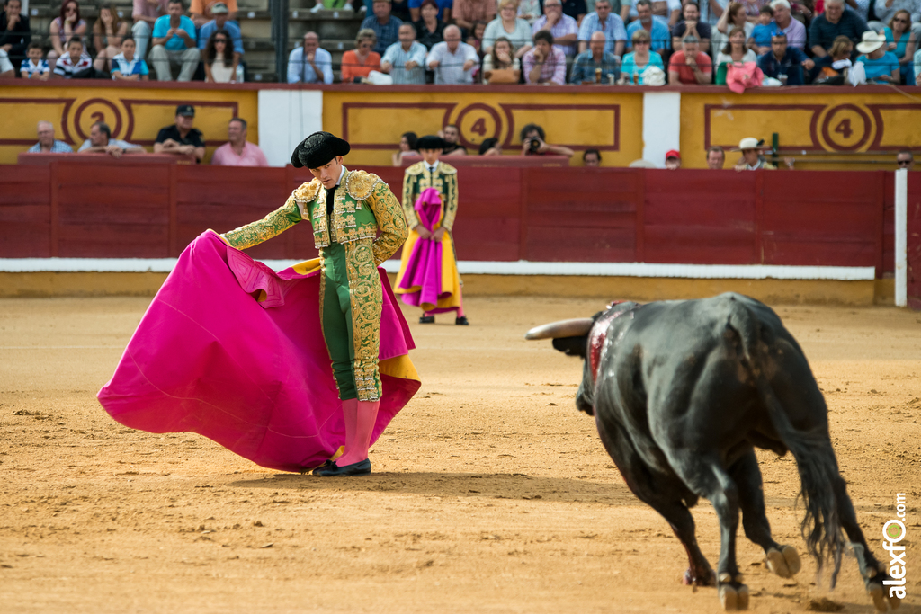 José Garrido - Toros Badajoz 2014 José Garrido - Toros Badajoz 2014 - jose garrido toros badajoz-8