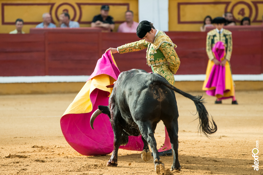 José Garrido - Toros Badajoz 2014 José Garrido - Toros Badajoz 2014 - jose garrido toros badajoz-9