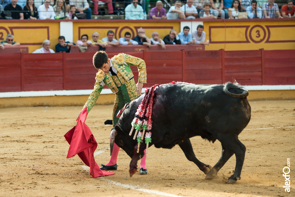 José Garrido - Toros Badajoz 2014 José Garrido - Toros Badajoz 2014 - jose garrido toros badajoz-11