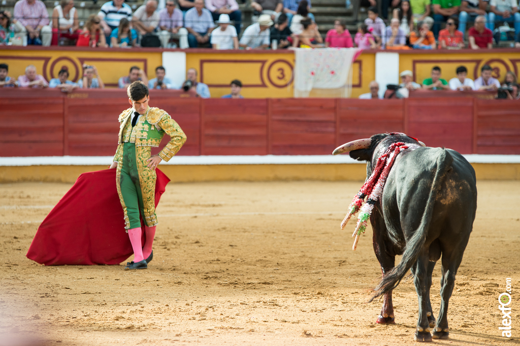 José Garrido - Toros Badajoz 2014 José Garrido - Toros Badajoz 2014 - jose garrido toros badajoz-13