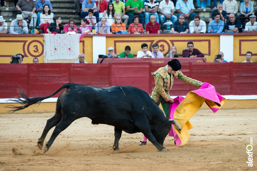 José Garrido - Toros Badajoz 2014 José Garrido - Toros Badajoz 2014 - jose garrido toros badajoz-19