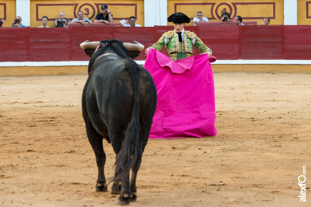 José Garrido - Toros Badajoz 2014 José Garrido - Toros Badajoz 2014 - jose garrido toros badajoz-20