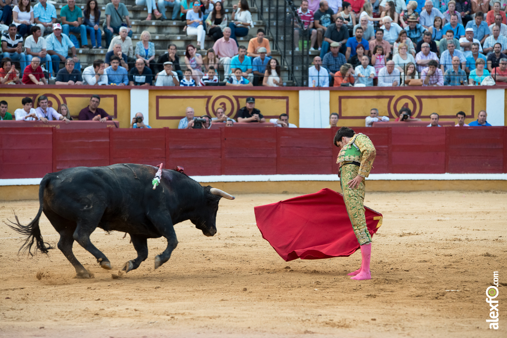José Garrido - Toros Badajoz 2014 José Garrido - Toros Badajoz 2014 - jose garrido toros badajoz-25