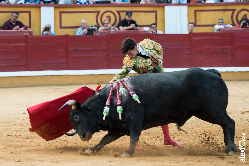 José Garrido - Toros Badajoz 2014 José Garrido - Toros Badajoz 2014 - jose garrido toros badajoz-26