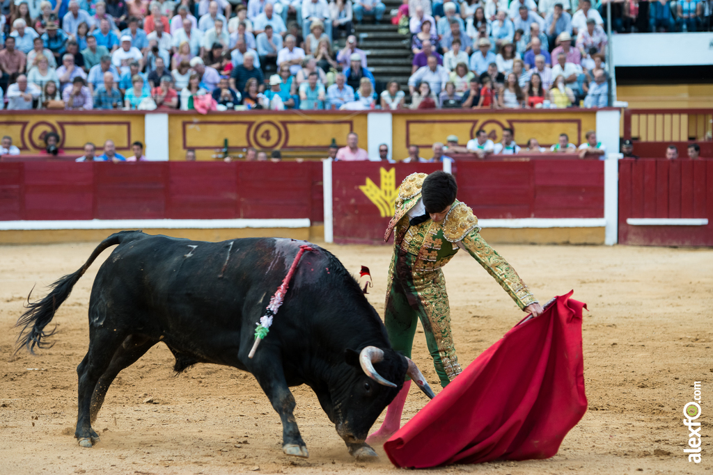 José Garrido - Toros Badajoz 2014 José Garrido - Toros Badajoz 2014 - jose garrido toros badajoz-28
