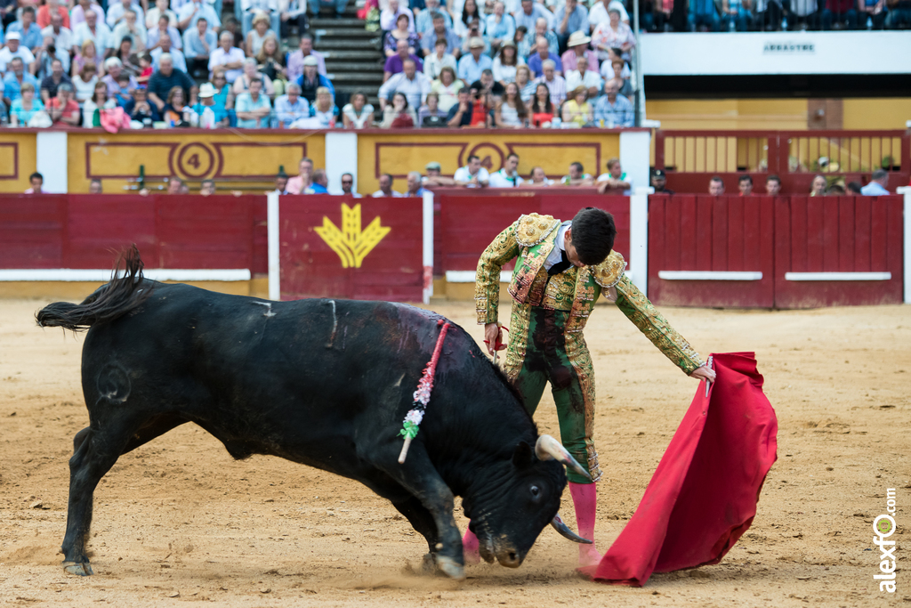 José Garrido - Toros Badajoz 2014 José Garrido - Toros Badajoz 2014 - jose garrido toros badajoz-29