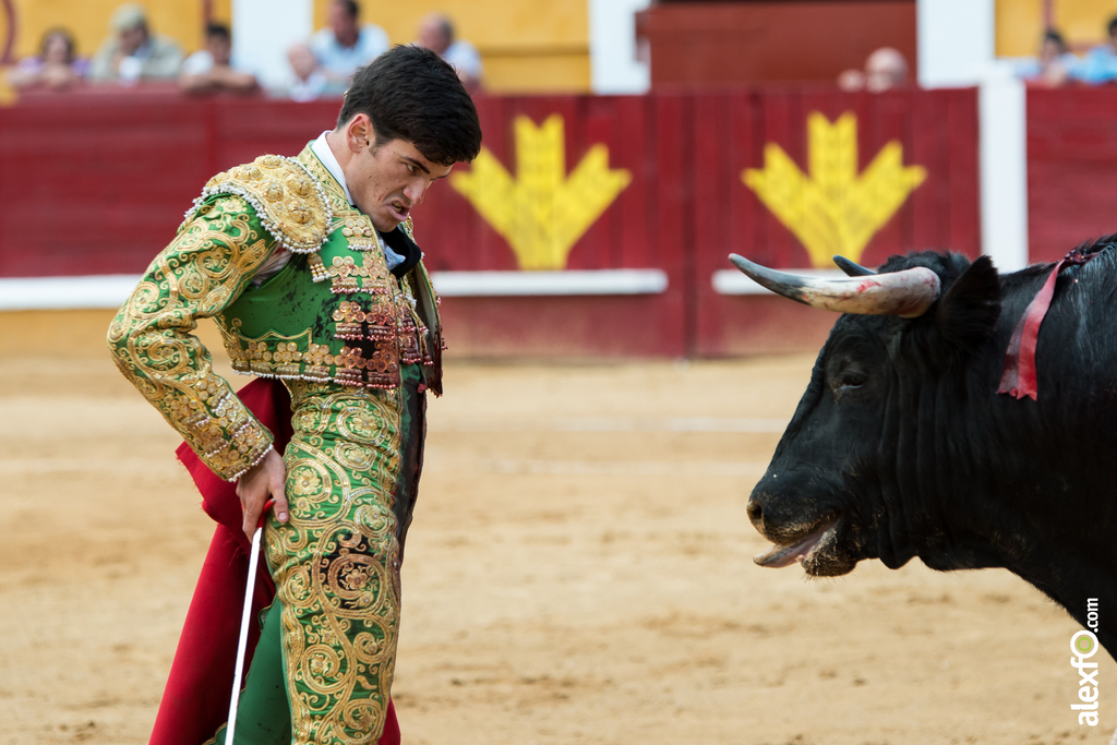 José Garrido - Toros Badajoz 2014 José Garrido - Toros Badajoz 2014 - jose garrido toros badajoz-30