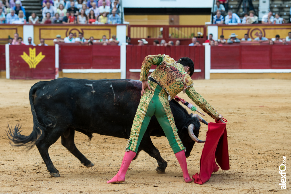 José Garrido - Toros Badajoz 2014 José Garrido - Toros Badajoz 2014 - jose garrido toros badajoz-32