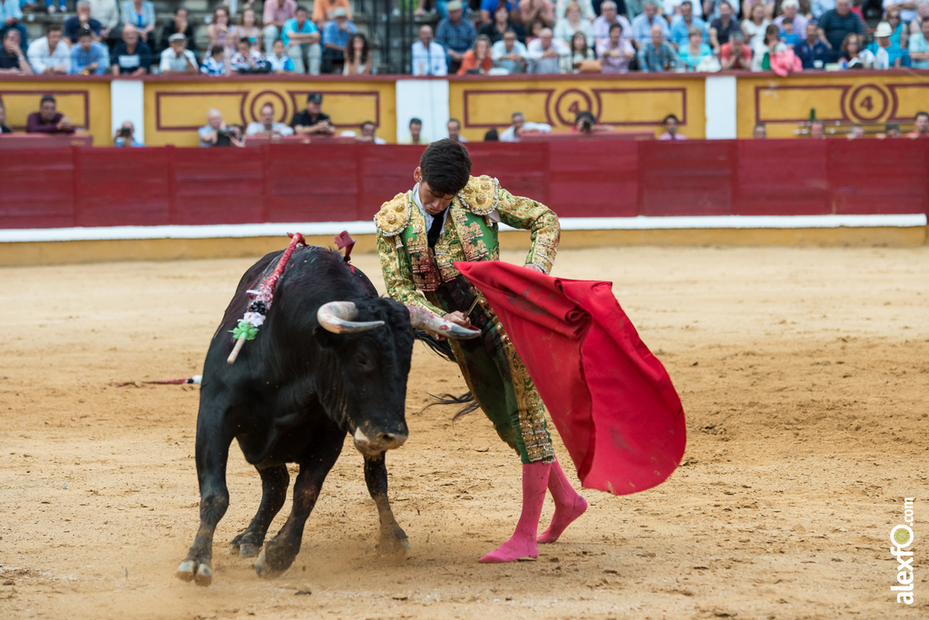 José Garrido - Toros Badajoz 2014 José Garrido - Toros Badajoz 2014 - jose garrido toros badajoz-33