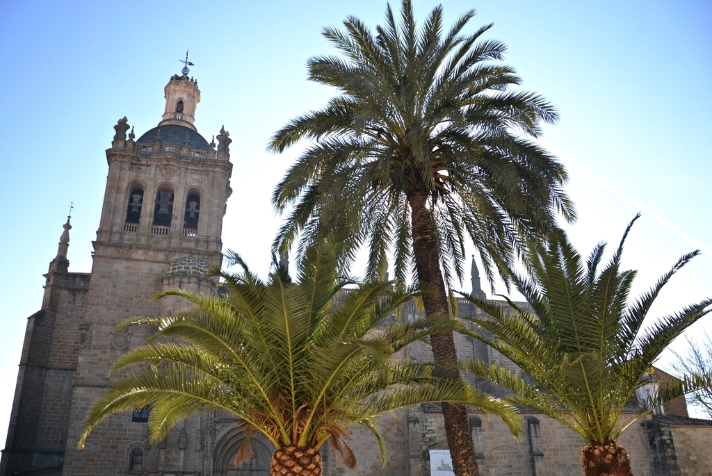 Catedral de la Asunción, Coria