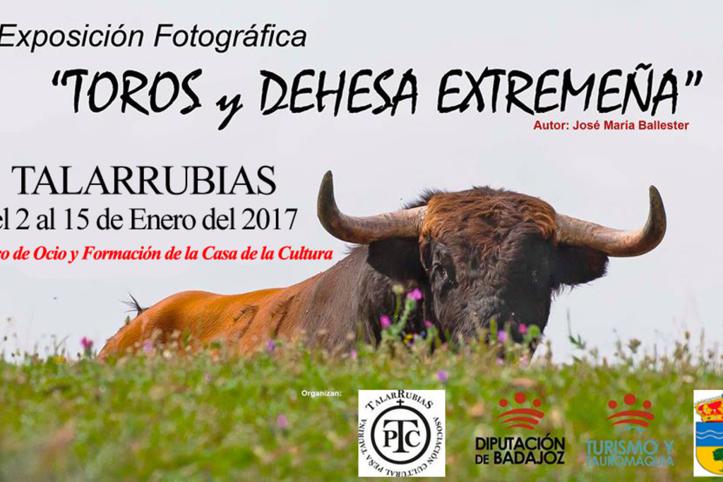 Inaugurada en Talarrubias la exposición fotográfica "Toros y Dehesa de Extremadura" de José María Ballester