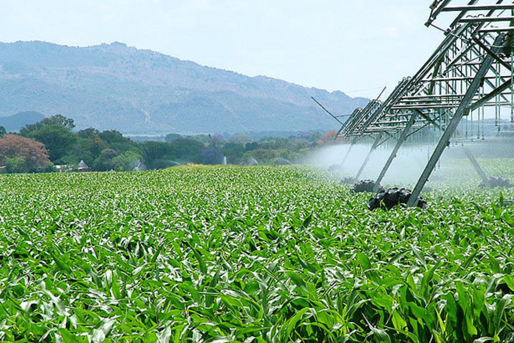 El DOE publica la convocatoria de ayudas de incentivos agroindustriales dotada con 22,5 millones de euros