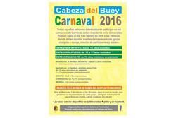 Bases carnaval dam preview