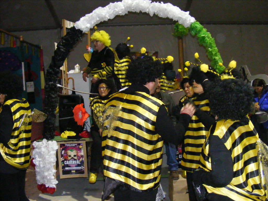 Carnavales 2014 en Casa de Extremadura en Collado Villalba Carnavales 2014 en Casa de Extremadura en Collado Villalba - DSCF0080