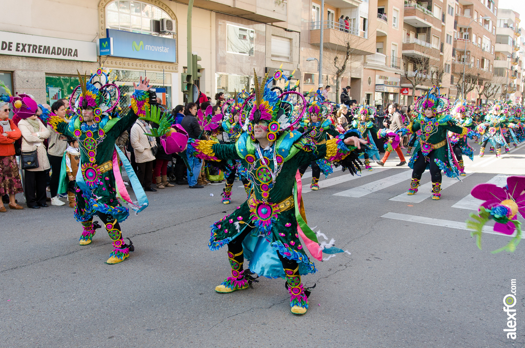 Entierro de la Sardina - Carnaval Badajoz 2014 Entierro de la Sardina - Carnaval Badajoz 2014 - DCA_8438
