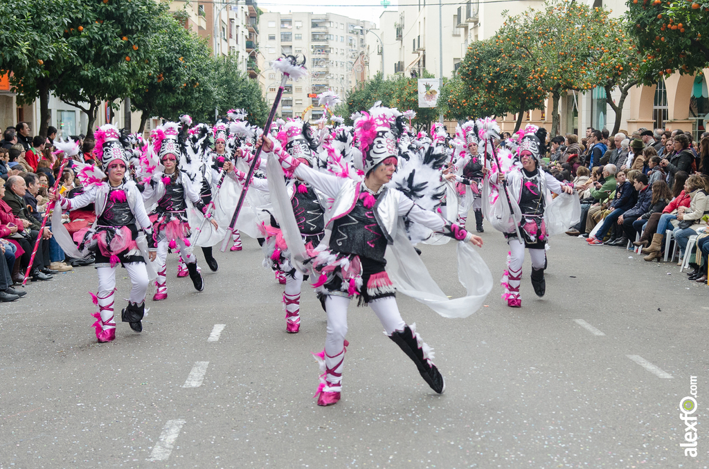Comparsa Los Desertores - Desfile de Comparsas - Carnaval Badajoz 2014 Comparsa Los Desertores - Desfile de Comparsas - Carnaval Badajoz 2014 - DCA_7785