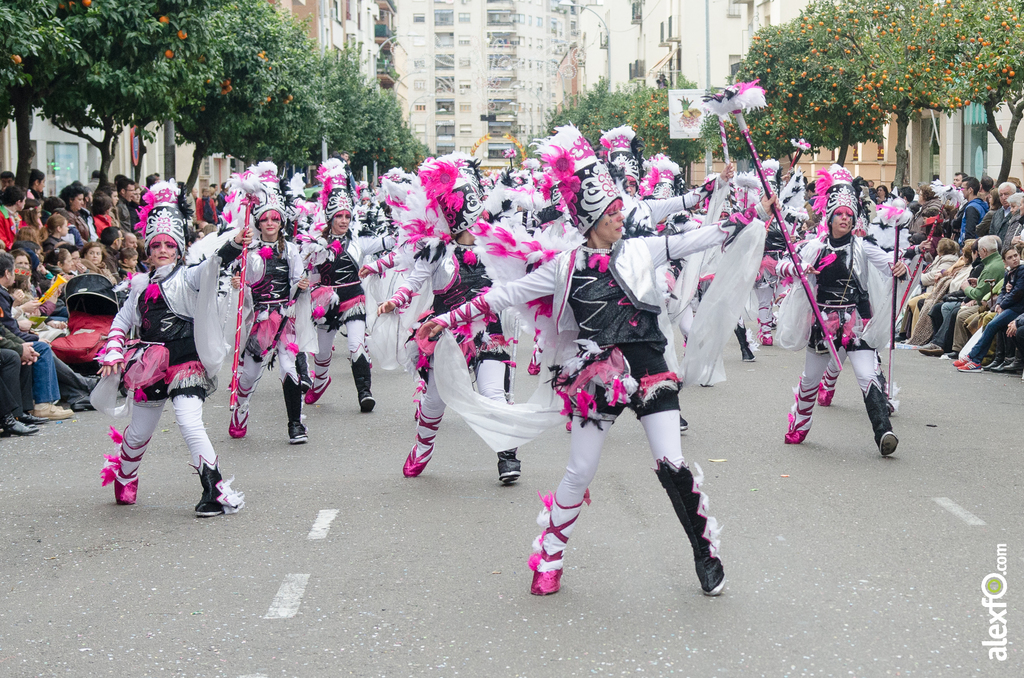 Comparsa Los Desertores - Desfile de Comparsas - Carnaval Badajoz 2014 Comparsa Los Desertores - Desfile de Comparsas - Carnaval Badajoz 2014 - DCA_7782
