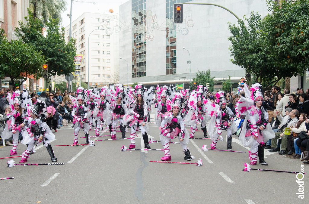 Comparsa Los Desertores - Desfile de Comparsas - Carnaval Badajoz 2014 Comparsa Los Desertores - Desfile de Comparsas - Carnaval Badajoz 2014 - DCA_7819