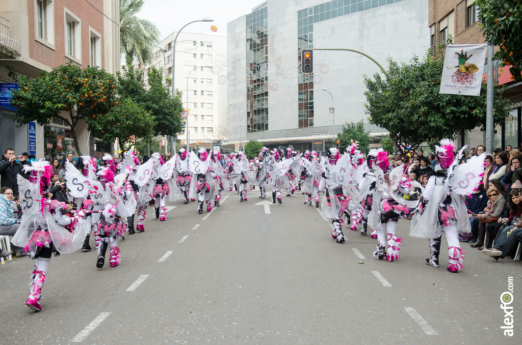 Comparsa Los Desertores - Desfile de Comparsas - Carnaval Badajoz 2014 Comparsa Los Desertores - Desfile de Comparsas - Carnaval Badajoz 2014 - DCA_7814