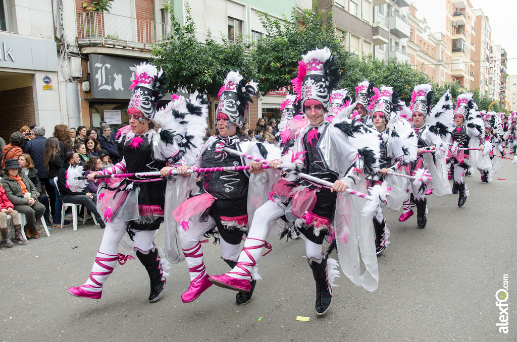 Comparsa Los Desertores - Desfile de Comparsas - Carnaval Badajoz 2014 Comparsa Los Desertores - Desfile de Comparsas - Carnaval Badajoz 2014 - DCA_7807