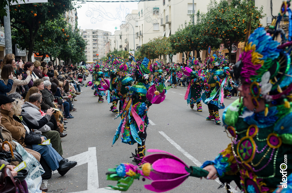 Comparsa La Bullanguera - Desfile de Comparsas - Carnaval Badajoz 2014 Comparsa La Bullanguera - Desfile de Comparsas - Carnaval Badajoz 2014 - DCA_7708