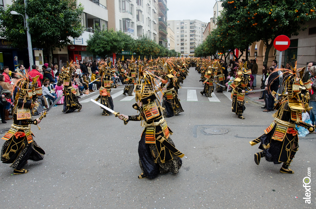 Comparsa Los Lingotes - Desfile de Comparsas - Carnaval Badajoz 2014 Comparsa Los Lingotes - Desfile de Comparsas - Carnaval Badajoz 2014 - DCA_7168