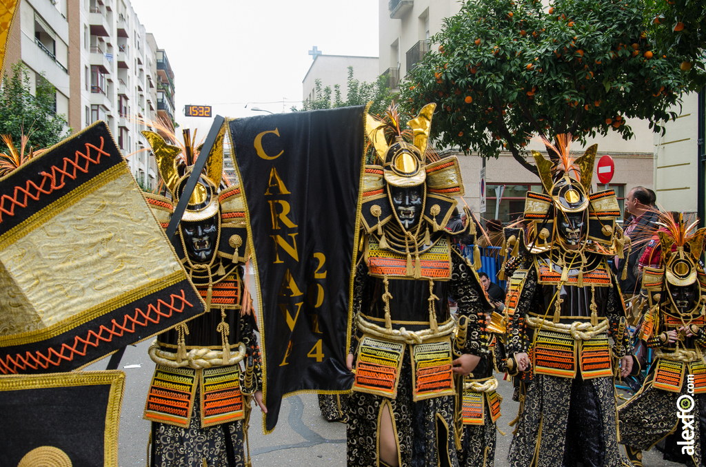 Comparsa Los Lingotes - Desfile de Comparsas - Carnaval Badajoz 2014 Comparsa Los Lingotes - Desfile de Comparsas - Carnaval Badajoz 2014 - DCA_7154