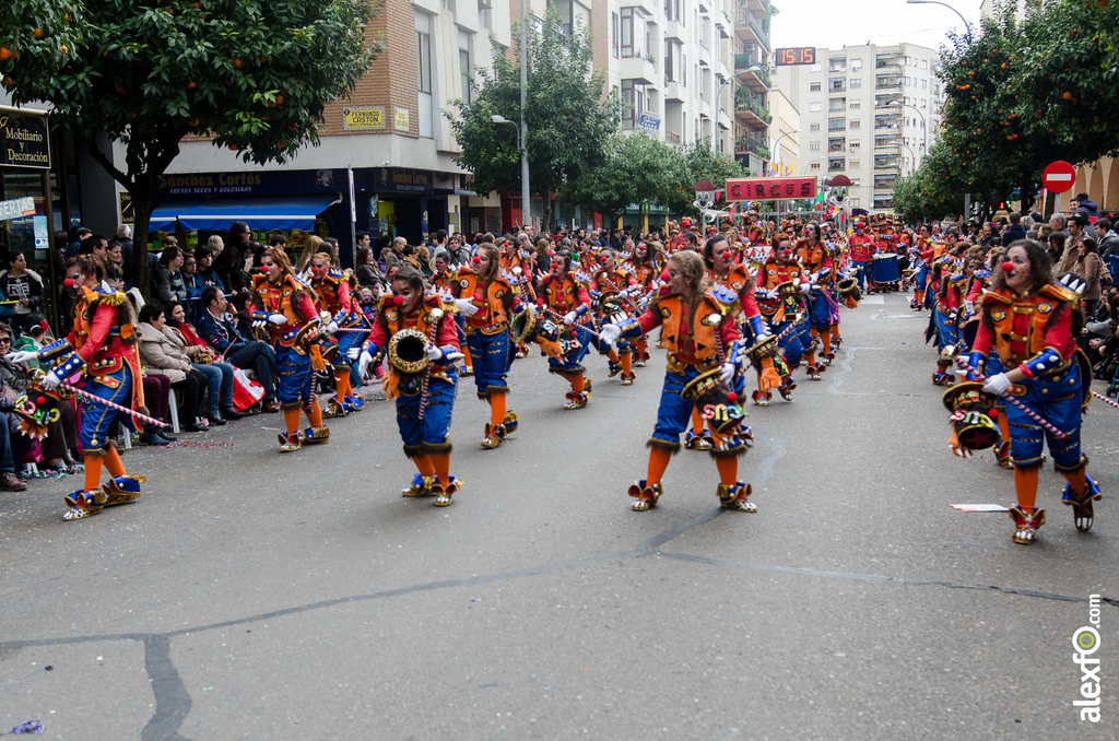 Comparsa El Vaivén - Desfile de Comparsas - Carnaval Badajoz 2014 Comparsa El Vaivén - Desfile de Comparsas - Carnaval Badajoz 2014 - DCA_6904