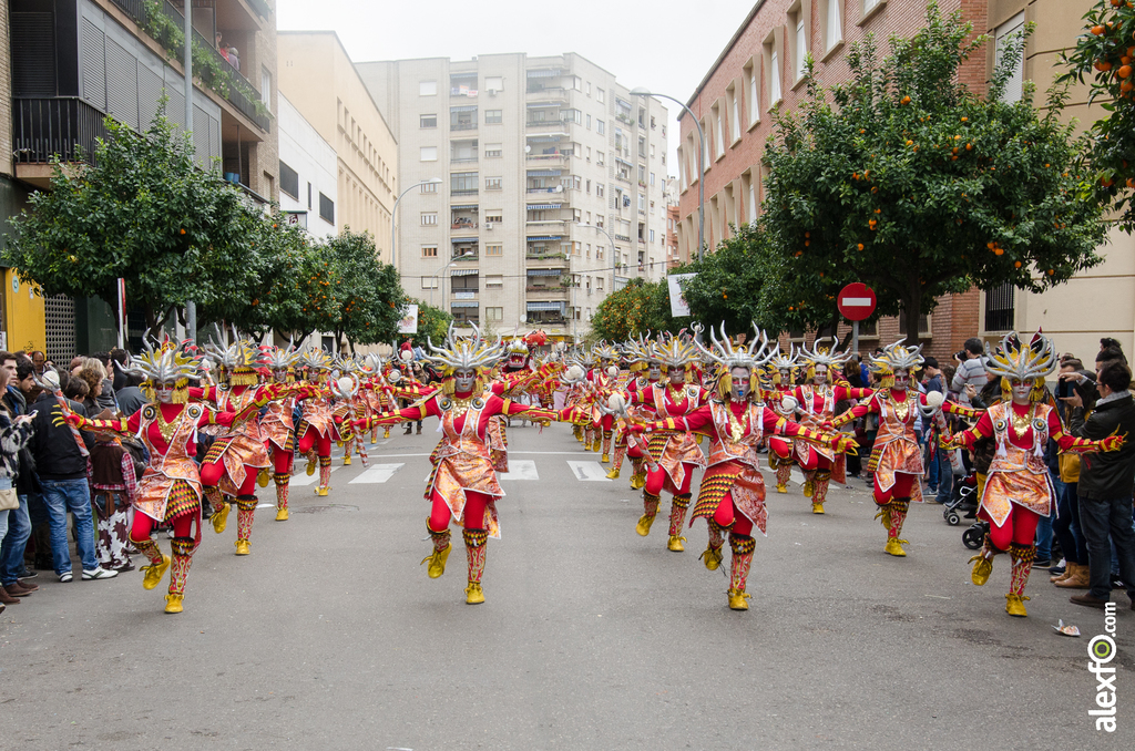 Comparsa Los Colegas - Desfile de Comparsas - Carnaval Badajoz 2014 Comparsa Los Colegas - Desfile de Comparsas - Carnaval Badajoz 2014 - DCA_6732