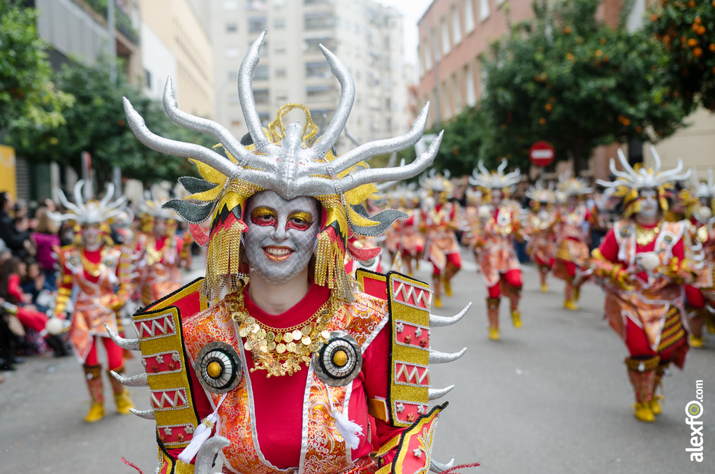 Comparsa Los Colegas - Desfile de Comparsas - Carnaval Badajoz 2014 Comparsa Los Colegas - Desfile de Comparsas - Carnaval Badajoz 2014 - DCA_6746