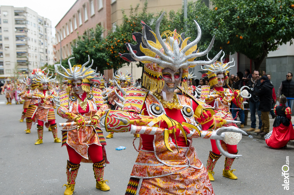 Comparsa Los Colegas - Desfile de Comparsas - Carnaval Badajoz 2014 Comparsa Los Colegas - Desfile de Comparsas - Carnaval Badajoz 2014 - DCA_6761
