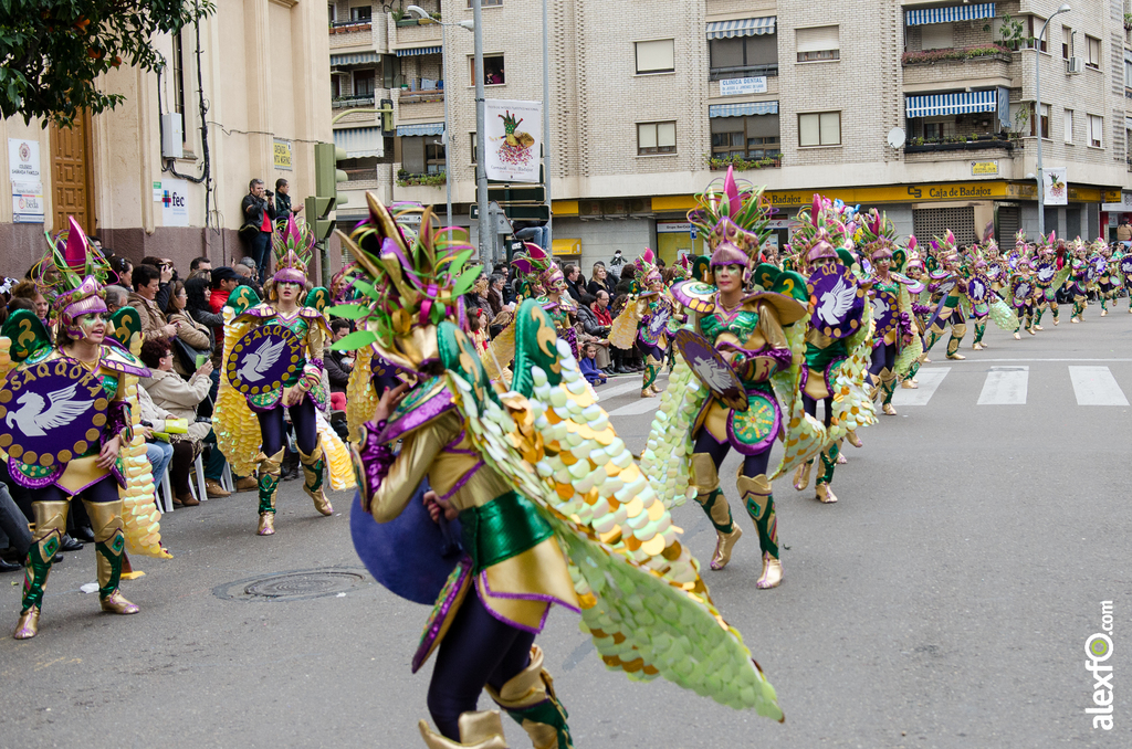 Comparsa Saqqora - Desfile de Comparsas - Carnaval Badajoz 2014 Comparsa Saqqora - Desfile de Comparsas - Carnaval Badajoz 2014 - DCA_6515