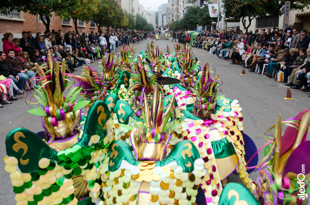 Comparsa Saqqora - Desfile de Comparsas - Carnaval Badajoz 2014 Comparsa Saqqora - Desfile de Comparsas - Carnaval Badajoz 2014 - DCA_6535