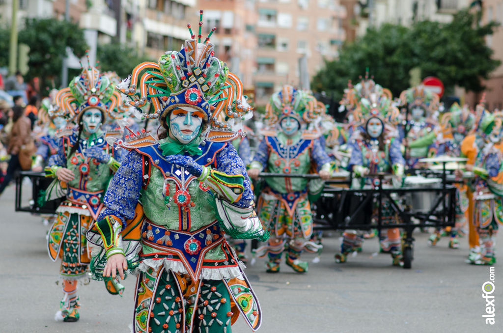 Comparsa Los Tukanes - Desfile de Comparsas - Carnaval Badajoz 2014 DCA_6238 - Comparsa Los Tukanes - Desfile de Comparsas - Carnaval Badajoz 2014