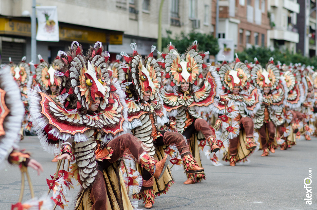 Comparsa Atahualpa - Desfile de Comparsas - Carnaval Badajoz 2014 DCA_5888 - Comparsa Atahualpa - Desfile de Comparsas - Carnaval Badajoz 2014