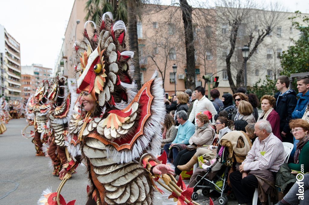 Comparsa Atahualpa - Desfile de Comparsas - Carnaval Badajoz 2014 DCA_5881 - Comparsa Atahualpa - Desfile de Comparsas - Carnaval Badajoz 2014