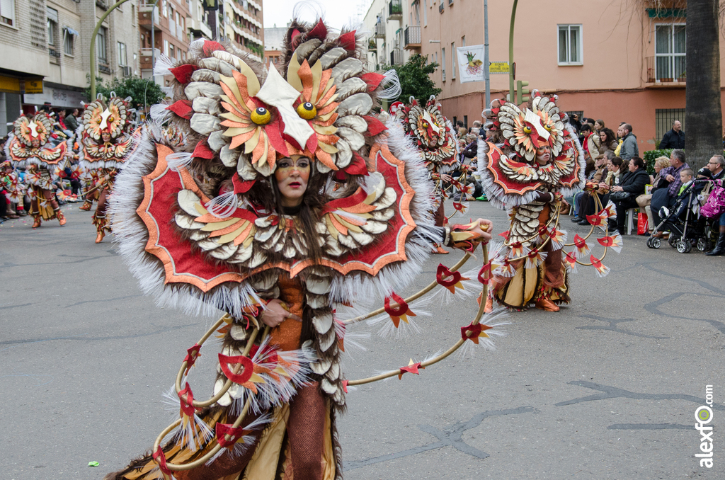Comparsa Atahualpa - Desfile de Comparsas - Carnaval Badajoz 2014 DCA_5878 - Comparsa Atahualpa - Desfile de Comparsas - Carnaval Badajoz 2014