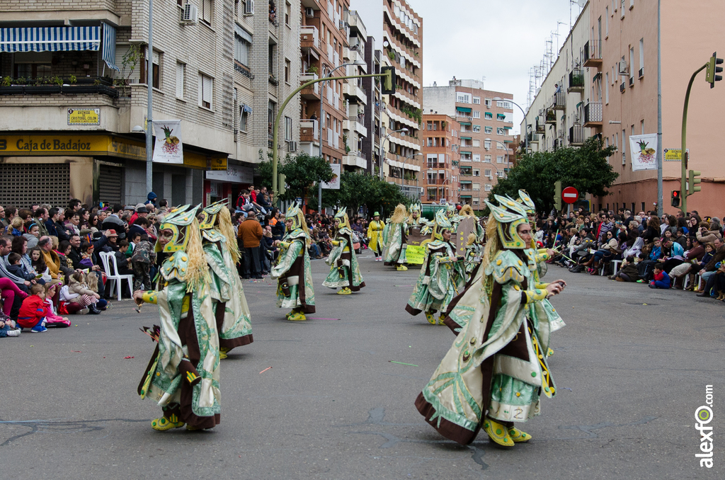 Comparsa Bamboleo - Desfile de Comparsas - Carnaval Badajoz 2014 DCA_5846 - Comparsa Bamboleo - Desfile de Comparsas - Carnaval Badajoz 2014
