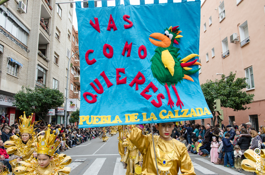 Comparsa Vas como quieres - Desfile de Comparsas Carnaval Badajoz 2014 DCA_5526 - Comparsa Vas como quieres - Desfile de Comparsas Carnaval Badajoz 2014