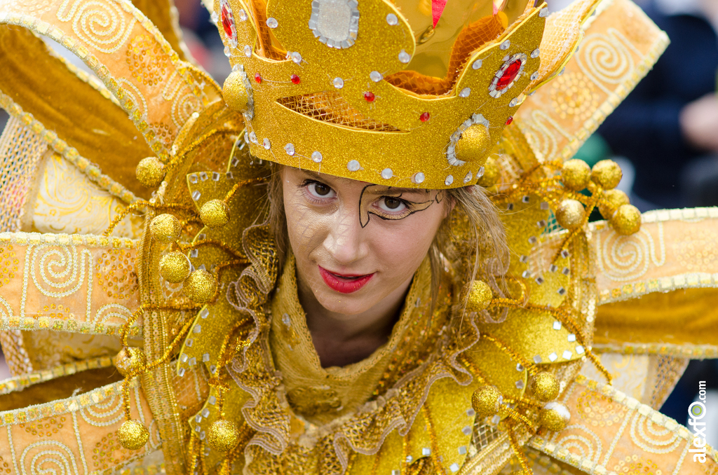 Comparsa Vas como quieres - Desfile de Comparsas Carnaval Badajoz 2014 DCA_5557 - Comparsa Vas como quieres - Desfile de Comparsas Carnaval Badajoz 2014