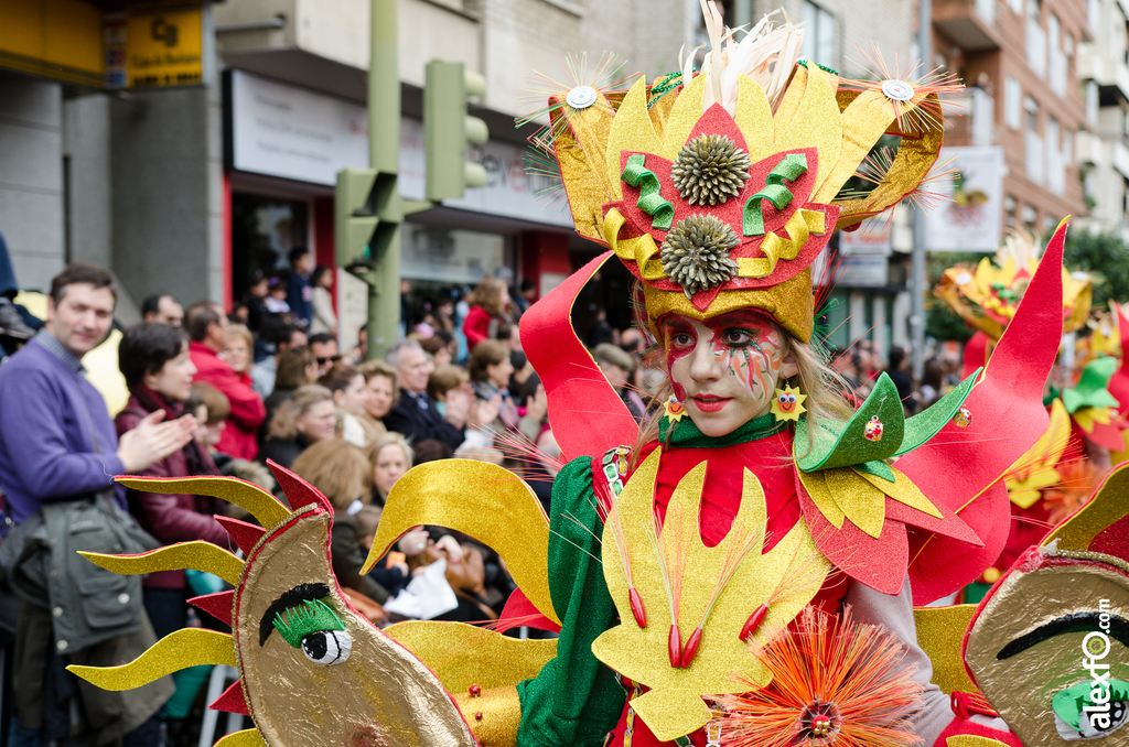 Comparsa Los Riki´s - Desfile de Comparsas - Carnaval Badajoz 2014 DCA_5488 - Comparsa Los Riki´s - Desfile de Comparsas - Carnaval Badajoz 2014