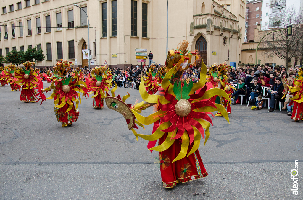 Comparsa Los Riki´s - Desfile de Comparsas - Carnaval Badajoz 2014 DCA_5507 - Comparsa Los Riki´s - Desfile de Comparsas - Carnaval Badajoz 2014