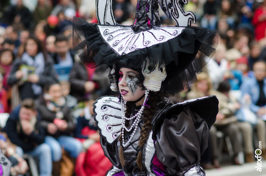 Comparsa Caretos Salvavidas - Desfile de Comparsas - Carnaval Badajoz 2014 DCA_5441 - Comparsa Caretos Salvavidas - Desfile de Comparsas - Carnaval Badajoz 2014